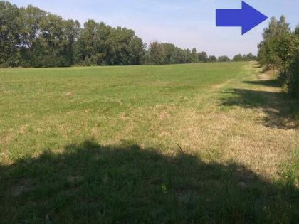 Duże działki budowlane na inwestycję, obrzeża Raciborza