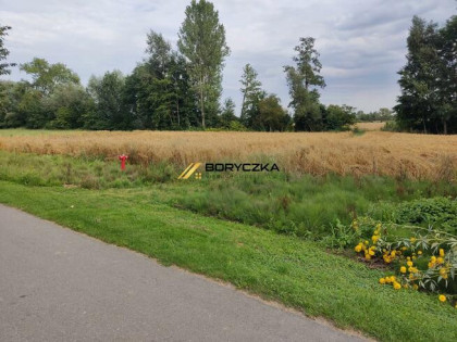 Działka rolna Książnice gm. Pacanów