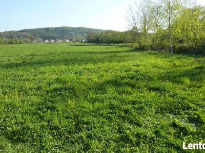 Sprzedam 20 ar, Stadniki koło Dobczyc