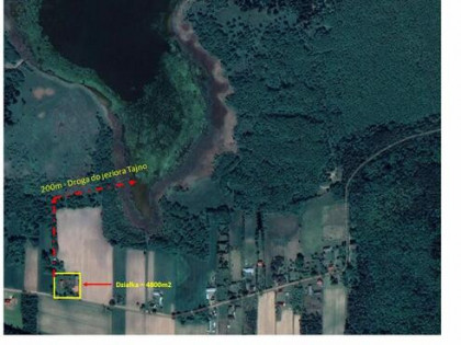 Sprzedam siedlisko w Orzechówce gmina Rajgród, jezioro Tajno