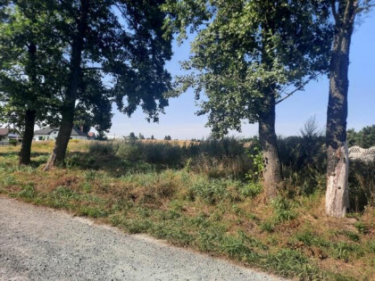 Na sprzedaż działka o pow. 1975m2 Chojno