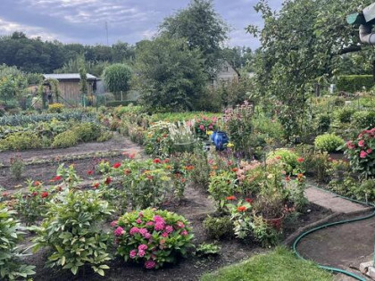 Sprzedam działkę ROD przy ulicy Na Grobli