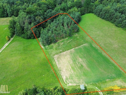 Budowlana działka z lasem w Bieszczadach!