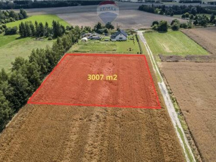 Kicin k/Poznania|3007 m²|Kapitał rosnący w ciszy