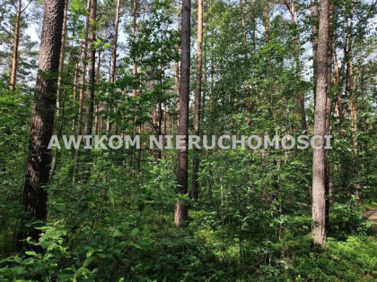 Działka Skierniewice