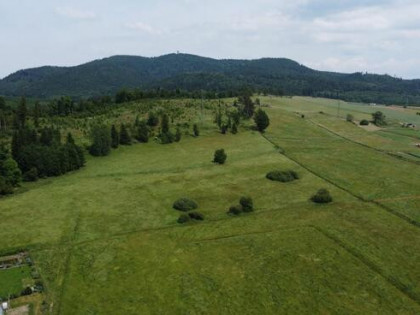 Działka budowlana Witków gm. Czarny Bór,