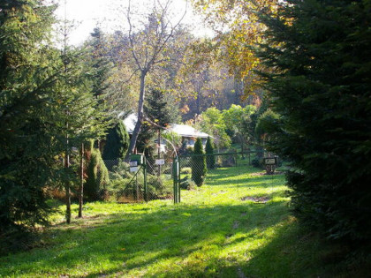 Sprzedam dom w leśnym zaciszu koło Limaniwej/Beskid Wyspowy