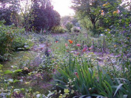 Działka ROD w ogródkach działkowych ul Nałęczowska
