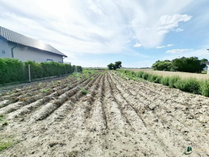 DZIAŁKA BUDOWLANA POD ZABUDOWĘ JEDNORODZINNĄ