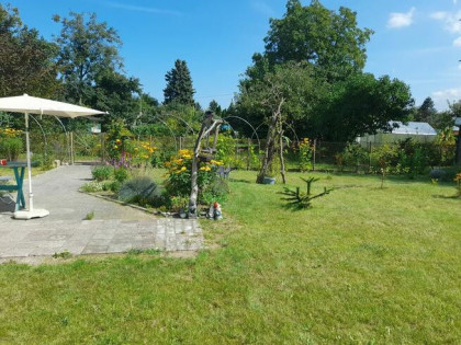 Działka ROD Hallera Gdańsk