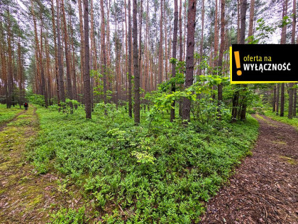 Działka Strzegomek ul.  