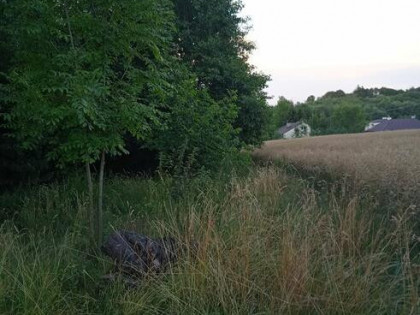 Husów 11ar miedzy domami 55000