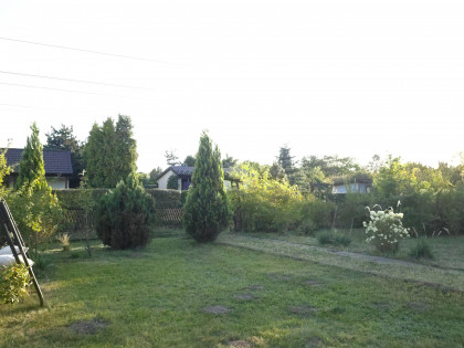 Duży ogródek działkowy ROD Sosnowiec Niwka