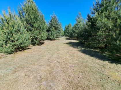 Sprzedam działkę 1,08ha