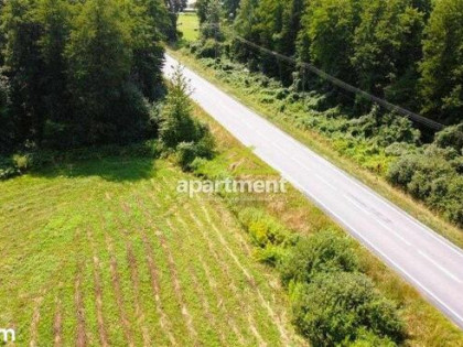 Działka, 11 400 m², Lubasz