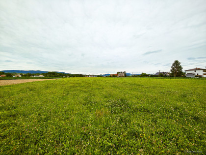 Działka Budowlana 2,5 ha w miejscowości Stróże