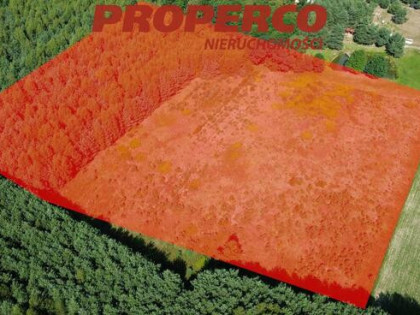 Działka Bogoria-Kolonia gm. Bogoria