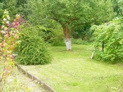 Działka rekreacyjna ROD LUMEL Zielona Góra Centrum