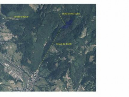 Do sprzedania las o powierzchni 4 ha jodłowy z kilkoma bukam