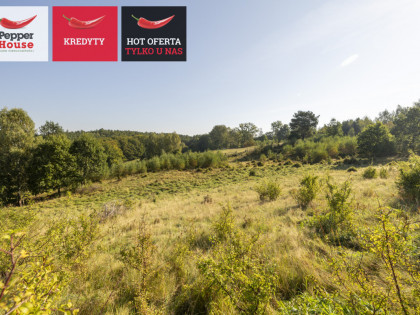 Działka Huta Dolna ul.  