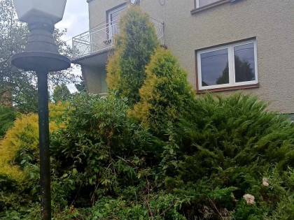 Dom z potencjałem wśród ciszy i zieleni / garaż /budynek gosopodarczy