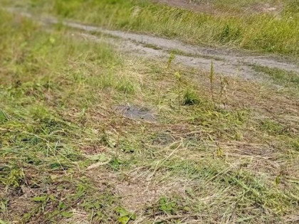 LOGISTYKA, SKŁADY MAGAZYNY, PRODUKCJA