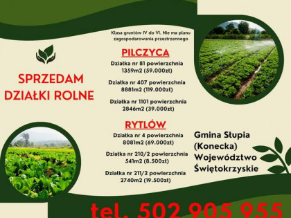 Działka 2845 m2 Pilczyca Świętokrzyskie