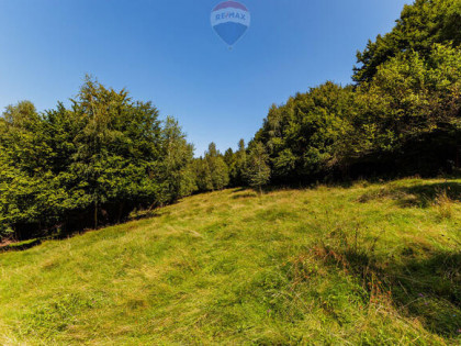 Działka z widokiem na góry Międzybrodzia Żywieckie