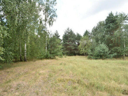 Działki rolne na sprzedaż.