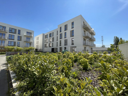 Mieszkanie Warszawa Białołęka, Brzeziny rynek pierwotny ul. Wielkiego Dębu