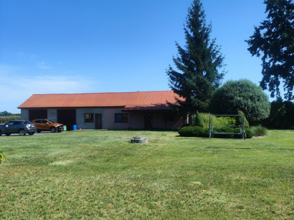 Lokal Aleksandria ul.  