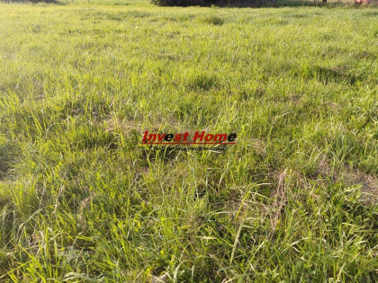 Działka Orzesze Orzesze