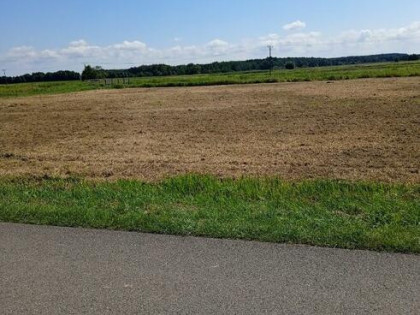 Sprzedam działkę Wz Basznia Dolna