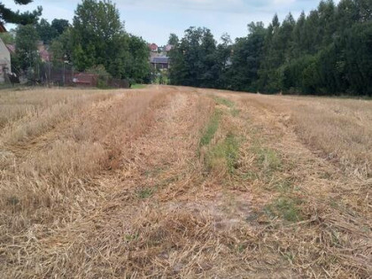 Szczytniki -Gdów-działka budowlano-usługowa