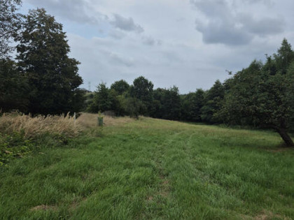 Działka rolna Wiśnicz Mały gm. Nowy Wiśnicz,