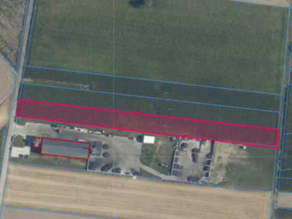 Działka rolna 6098m2, Borki-Kosy