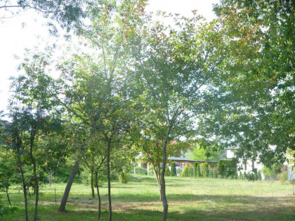 Działka 6700m2,gm.Dobra,dr.asf.las.