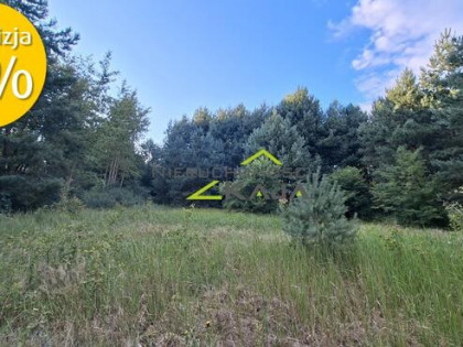 Działka 7206m2  z warunkami zabudowy, Zielona Góra