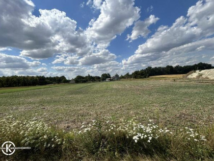 Na sprzedaż działka budowlana - Witkówek