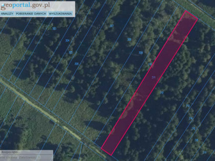 Sprzedam działki leśne w Borkach-Kosy