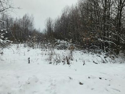 Syndyk sprzeda udział 1/8 w spadku działek Gostków