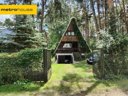 Dom w Sokolnikach, las i śpiew ptaków