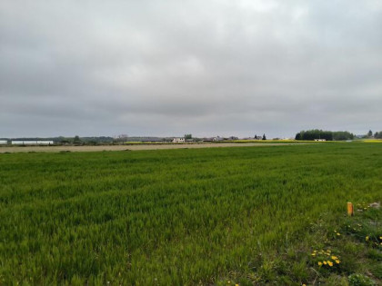 Sprzedam działkę Sitaniec-Wolica 11 ar gmina Zamość