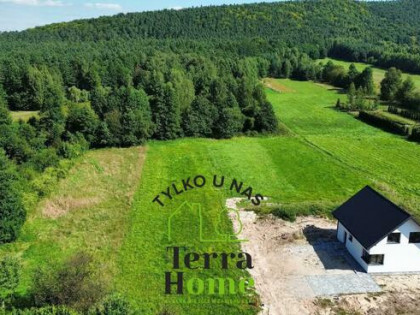 Dom Tumlin-Podgród gm. Miedziana Góra