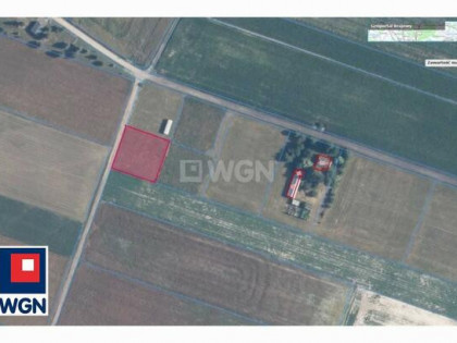 Działka rekreacyjna Michałów gm. Urszulin, Michałów