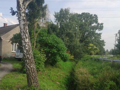 Dom Łopoń Wojnicz dzialka