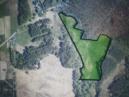 Sprzedam działkę rolną w Papierni 5,23 ha gm. Raków