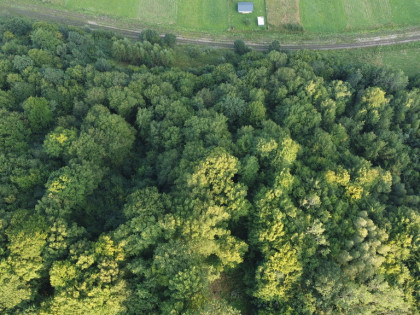 Działki w otulinie lasu - Huzele! Huzele