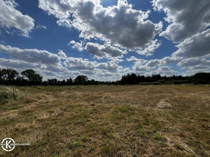 Na sprzedaż działka budowlana w Zamienicach