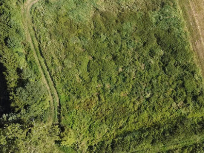 Łosice, ul. Myśliwska – łąka 3576 m² na sprzedaż